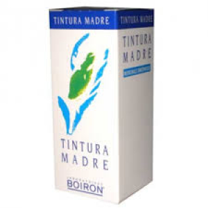 gentiana lutea 60ml tm bugiardino cod: 900524618 