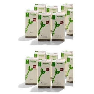 Acquista Online giuggiolo macerato glicerico 100 ml 2x100 ml gocce orali e Cerca il miglior prezzo