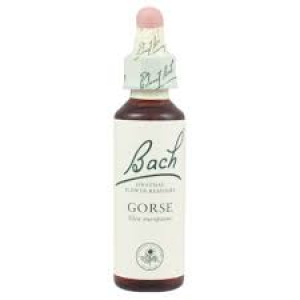 gorse bach orig 10ml bugiardino cod: 801830187 