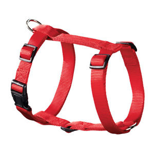 harness ecco sport r s/15 red bugiardino cod: 925457386 