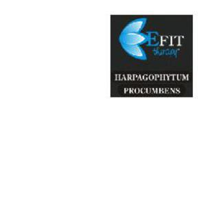 harpagophytum proc estr fl30ml bugiardino cod: 910245911 