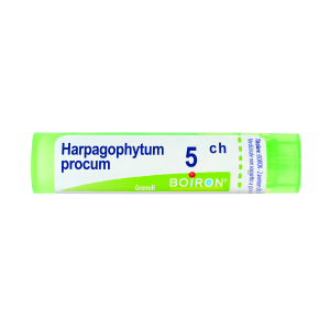 harpagophytum procum 5ch gr bugiardino cod: 800259792 