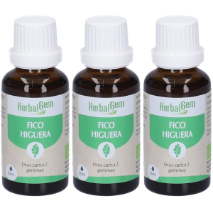 Trova prezzi di herbalgem fico gemme concentrato di fresche gocce 3x30 ml soluzi e compra online
