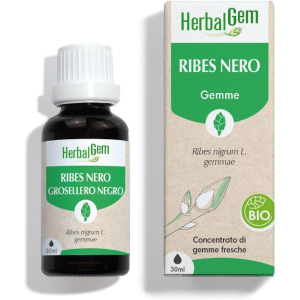 Herbalgem macerato-madre ribes nero bio integratore gemmoterapia con estratto di gemme fresche per articolazioni, muscoli 30 ml