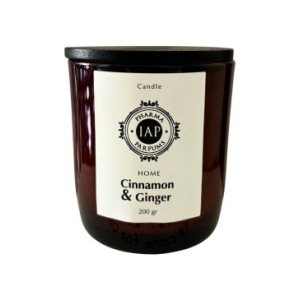 Cerca Offerte di Iap home cinnamon & ginger candela profumata per ambienti 200 grammi e acquista online