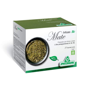 infuso bio mate 40g bugiardino cod: 975427624 