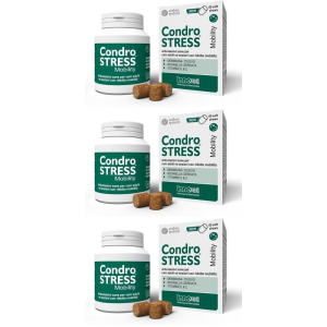 Cerca Offerte di innovet condrostress mobility soft chews per cani 3x1 st e acquista online