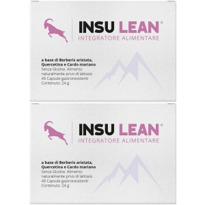 Cerca Offerte di insu lean capsule gastroresistenti 2x24 g gastroresistenti e acquista online