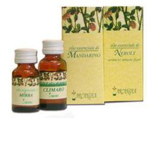 issopo olio essenziale 5ml bugiardino cod: 906858372 