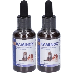 Cerca Offerte di kaminox sciroppo 2x60 ml e acquista online