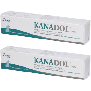 Cerca Offerte di kanadol pasta 2x30 g e acquista online