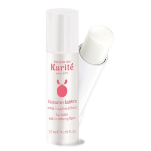 Cerca Offerte di karite 100 balsamo lab frag bos5,7m e acquista online