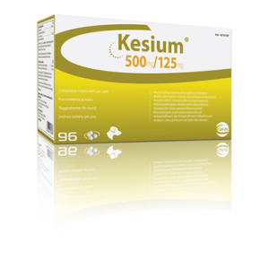 kesium*96cpr 500mg+125mg bugiardino cod: 104319153 