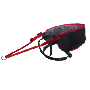 Cerca Offerte di kyflie cintura ludus performance t1 rosso e acquista online