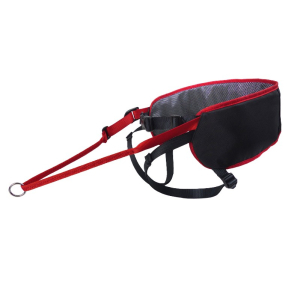 Cerca Offerte di kyflie cintura ludus performance t2 rosso e acquista online
