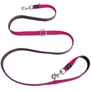 Cerca Offerte di kyflie momentum guinzaglio addestramento (m) rosa e acquista online
