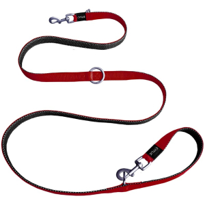 Cerca Offerte di kyflie momentum guinzaglio allenamento (l) rosso e acquista online
