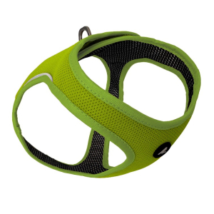 Cerca Offerte di kyflie pettorina momentum air vest (3xs) lime e acquista online