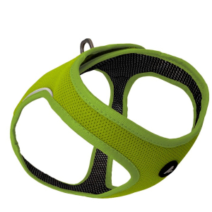 Cerca Offerte di kyflie pettorina momentum air vest (s) lime e acquista online