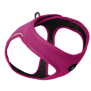 Cerca Offerte di kyflie pettorina momentum air vest (xs) rosa e acquista online