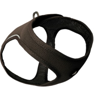 Cerca Offerte di kyflie pettorina momentum air vest (xxs) marrone e acquista online