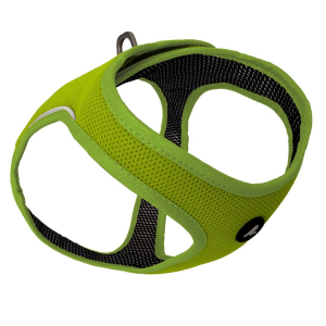 Cerca Offerte di kyflie pettorina momentum ari vest (xl) lime e acquista online