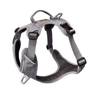 Cerca Offerte di kyflie pettorina momentum (l) light grey e acquista online