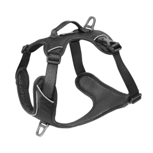 Cerca Offerte di kyflie pettorina momentum (l) nero e acquista online