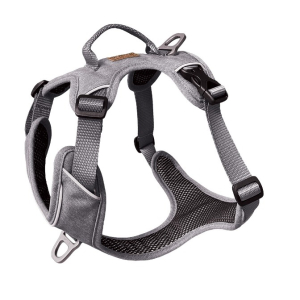 Cerca Offerte di kyflie pettorina momentum (m) light grey e acquista online