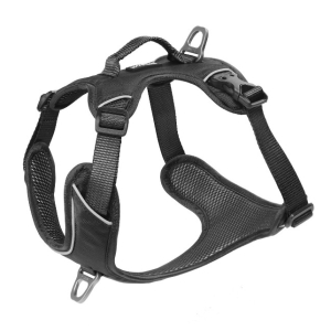 Cerca Offerte di kyflie pettorina momentum (m) nero e acquista online