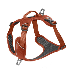 Cerca Offerte di kyflie pettorina momentum (m) rame e acquista online