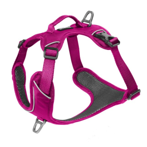 Cerca Offerte di kyflie pettorina momentum (m) rosa e acquista online