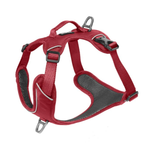 Cerca Offerte di kyflie pettorina momentum (m) rosso e acquista online