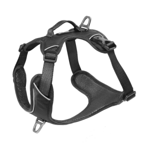 Cerca Offerte di kyflie pettorina momentum (s) nero e acquista online