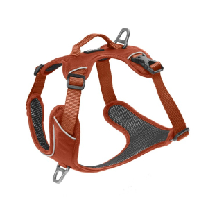 Cerca Offerte di kyflie pettorina momentum (s) rame e acquista online