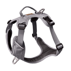 Cerca Offerte di kyflie pettorina momentum (xl) light grey e acquista online
