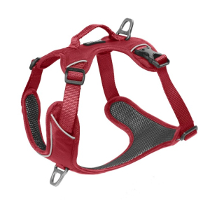 Cerca Offerte di kyflie pettorina momentum (xs) rossa e acquista online