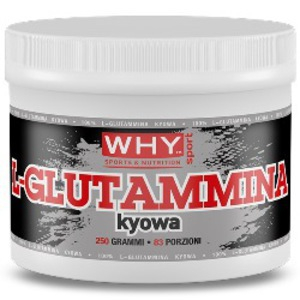 why sport l-glutammina kyowa 250 g bugiardino cod: 921900371 