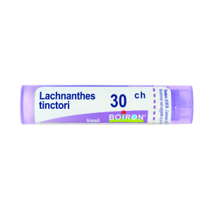 lachnanthes tinctoria 30ch80gr bugiardino cod: 046204273 