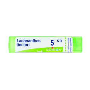 lachnanthes tinctoria 5ch 80gr bugiardino cod: 046204020 