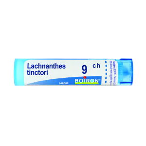 lachnanthes tinctoria 9ch 80gr bugiardino cod: 046204069 