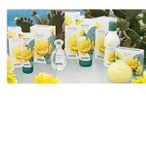 l amande opuntia crema mani bugiardino cod: 938801382 