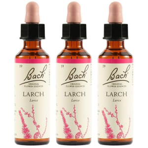Cerca Offerte di larch bach orig 20ml 3x20 ml gocce orali e acquista online