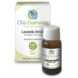 Cerca Offerte di lavanda ibrida olio essenziale 10 ml e acquista online