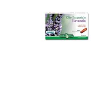 lavanda olicaps 30 capsule bugiardino cod: 900341710 