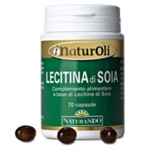lecitina soia emulsione 1kg bugiardino cod: 906193216 
