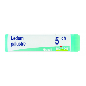 ledum palustre 5ch gl bugiardino cod: 800288565 