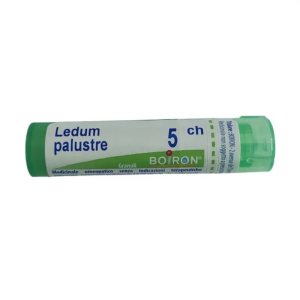 Cerca Offerte di ledum palustre (boiron)*80 granuli 5 ch contenitore multidose e acquista online