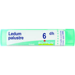 Cerca Offerte di ledum palustre (boiron)*80 granuli 6 ch contenitore multidose 4g e acquista online
