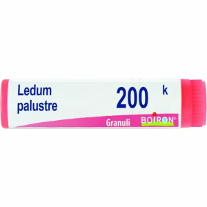 Cerca Offerte di ledum palustre (boiron)*granuli 200 k contenitore monodose e acquista online
